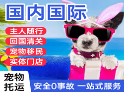 丹东机场邮寄国际宠物托运 【国